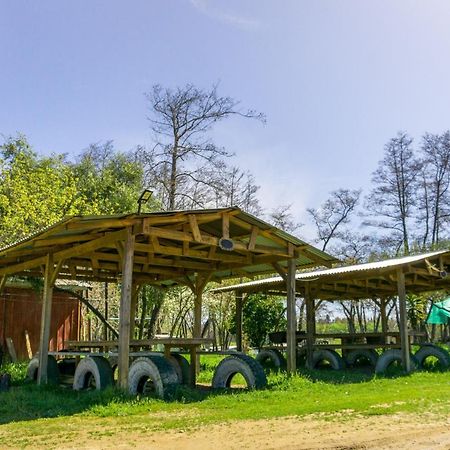 Coyunche Cabanas Y Camping Laja & San Rosendo Kültér fotó