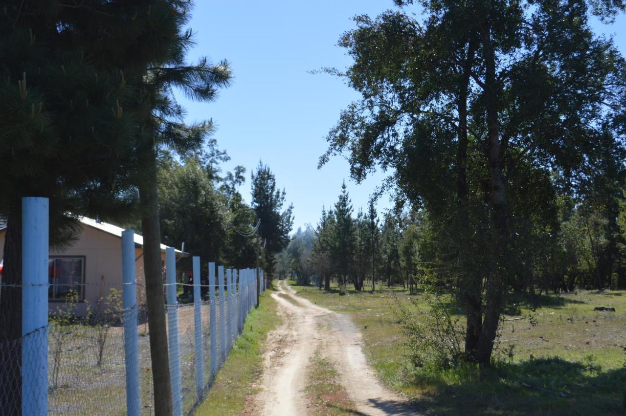 Coyunche Cabanas Y Camping Laja & San Rosendo Kültér fotó