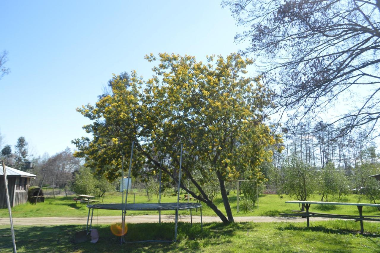 Coyunche Cabanas Y Camping Laja & San Rosendo Kültér fotó