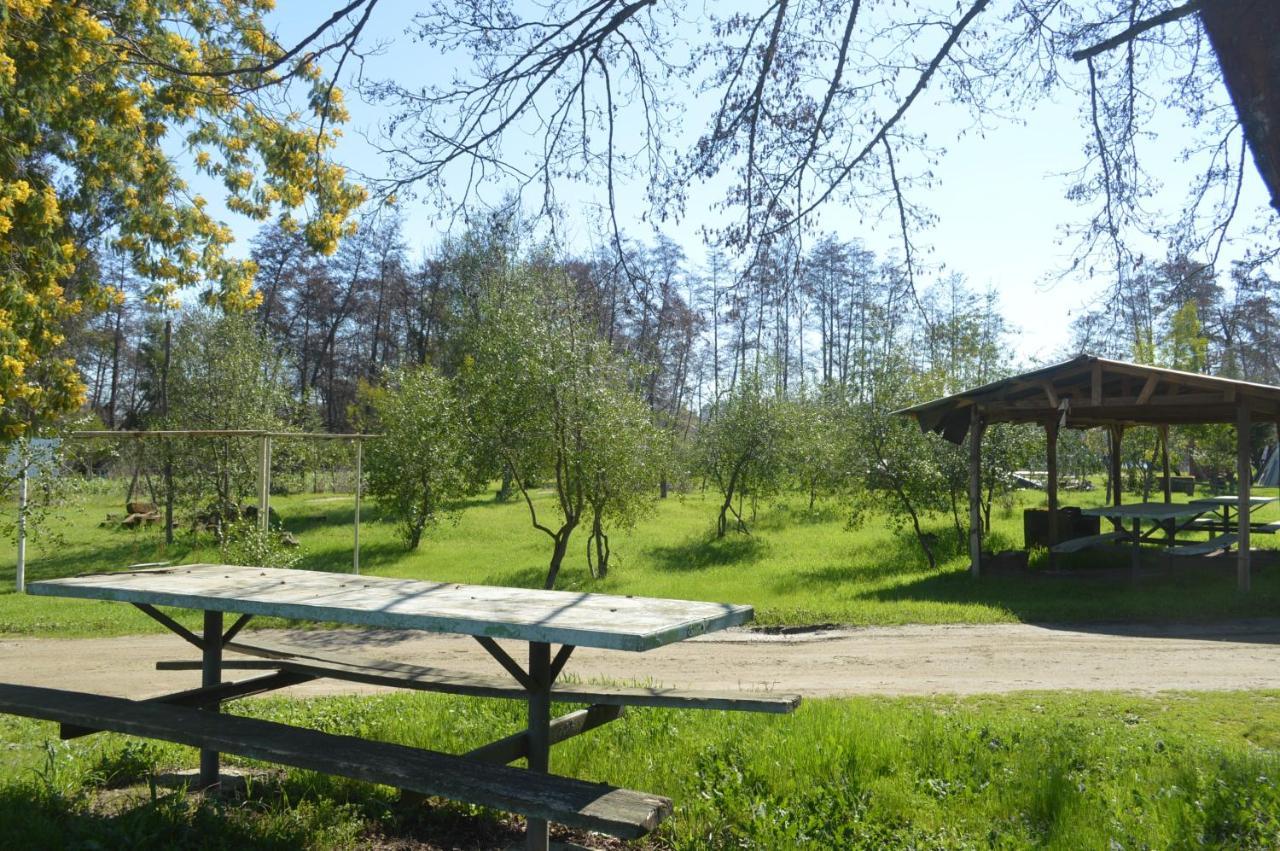 Coyunche Cabanas Y Camping Laja & San Rosendo Kültér fotó