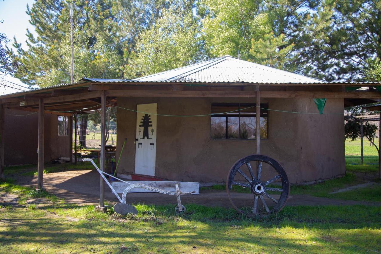 Coyunche Cabanas Y Camping Laja & San Rosendo Kültér fotó