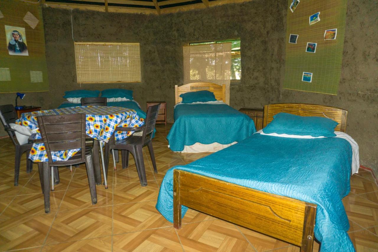 Coyunche Cabanas Y Camping Laja & San Rosendo Kültér fotó